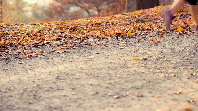 Running at park with autumn colours