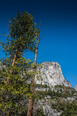 Yosemite National Park
