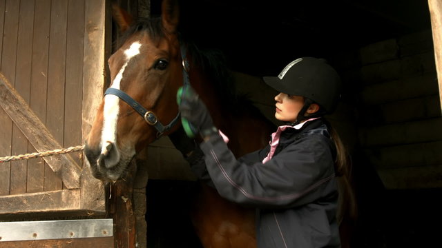 Pretty brunette with horse in stable