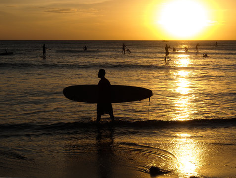 surfer at sunset in the beach