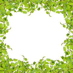 Obraz na płótnie Canvas Frame with green leaves on white background