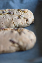 Two baked biscotti pieces before cutting. Selective focus. 