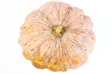 pumpkin ugly rot isolated on white background