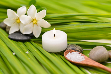 Fototapeta na wymiar Green palm leaf background- spa setting with flower ,candle,stones