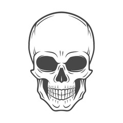 Human evil skull vector. Jolly Roger logo template. death t-shirt design. Pirate insignia concept. Poison icon illustration