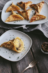 Pancakes with cheese and mushrooms on a plate on a napkin