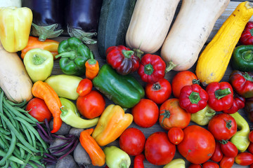 new picked fresh vegetables