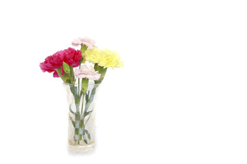 Stock Photo:.Beautiful Chrysanthemum and pink Carnation flowers
