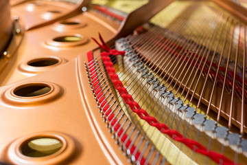 Inside of a grand piano - 95775746