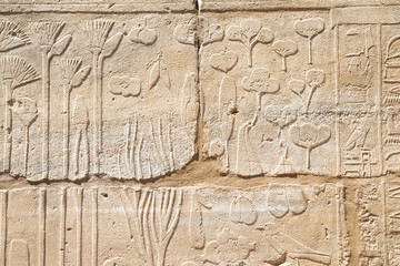 old egypt hieroglyphs carved on the stone