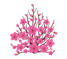 Naklejka premium Japanese plum blossom