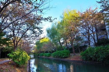 Obraz premium 京都 伏見濠川