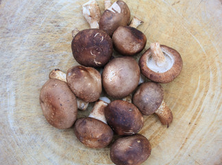 Obraz premium shiitake mushrooms on a wooden cutting board