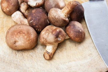 Shiitake mushrooms on wood background