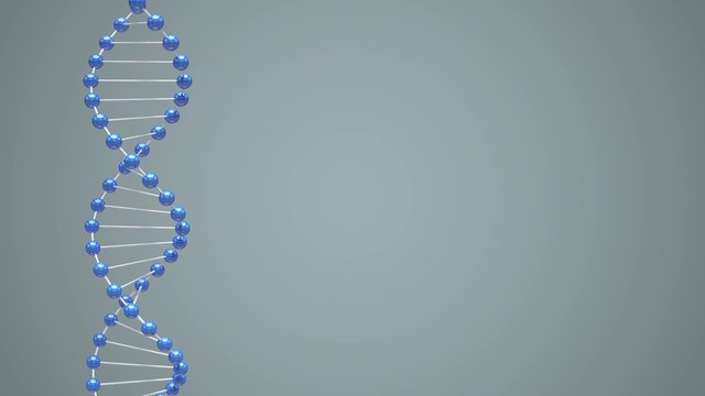DNA rotation