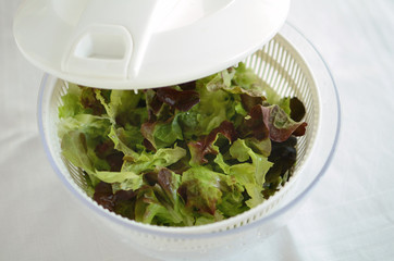 Green salad leaves being dried in a kitchen spinner