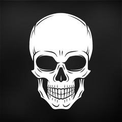 Human evil skull vector. Jolly Roger logo template on black background. death t-shirt design. Pirate insignia concept. Poison icon illustration