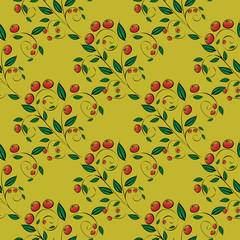 Red berries on a yellow background
