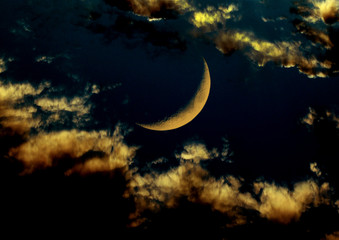 Obraz premium The moon in the night sky 