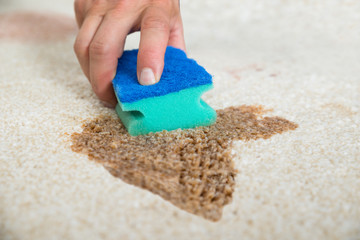 Fototapeta na wymiar Janitor Cleaning Stain On Carpet With Sponge
