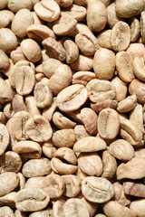 Coffee beans for backgrounds or textures