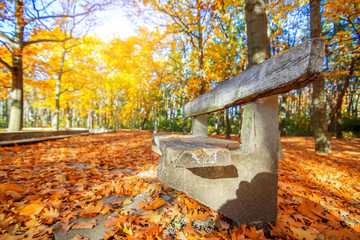 bench in autumn