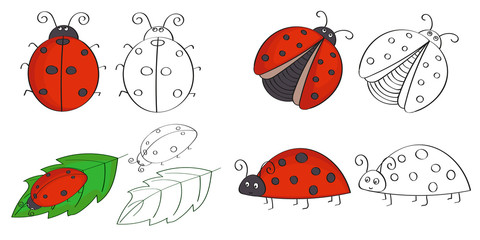 Set of hand drawn ladybugs. Vector illustrations of colorful ladybirds.