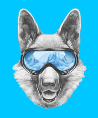 Portrait of German Shepherd with ski goggles. Hand drawn illustration.