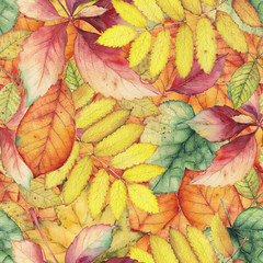 Seamless pattern with colorful autumn leaves. Original hand drawn bright colors watercolor background.