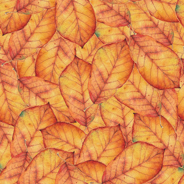Seamless pattern with orange autumn leaves. Original hand drawn bright colors watercolor background.
