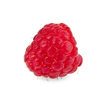 berry of raspberry