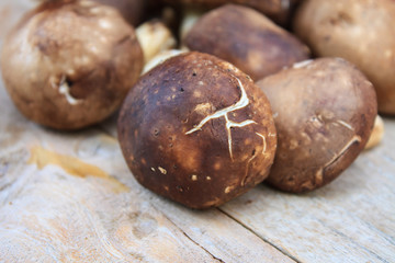 Shiitake mushroom on wooden table
