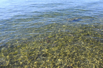 Background of water and pebbles