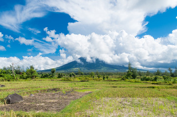 Fototapeta na wymiar mayon volcano in the philippines