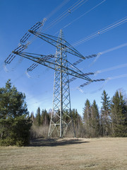 High voltage mast on a forest Glade