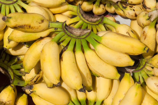 Bananas - South Indian variety “Yelakki”