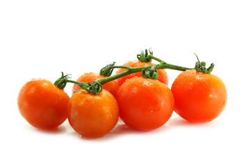 tometoes isolate on white background