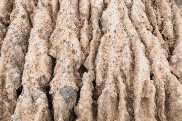 Soil Erosion background