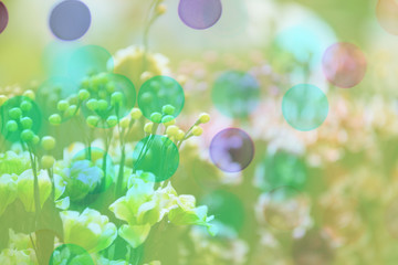 Fototapeta premium abstract light bokeh background