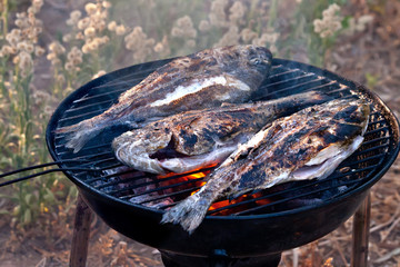 Sea Bream Fish Grilling On BBQ - obrazy, fototapety, plakaty