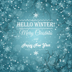 Fototapeta na wymiar Merry Christmas postcard winter background with snowflakes 