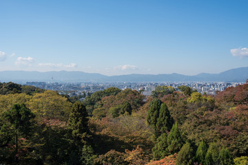 Naklejka premium View from Kiyomizu-dera Temple at noon