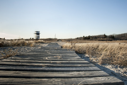 Boardwalk and observation tower