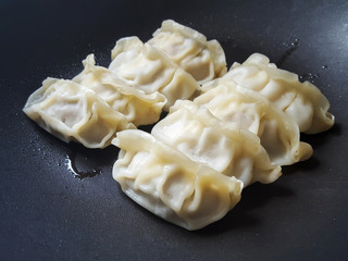 Pan Fried gyoza dumpling