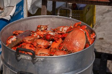 selection of boiled crabs on the market