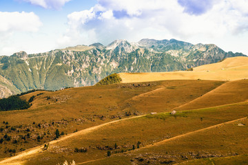 Naklejka premium Meadows in the mountains create sinuous lines.
