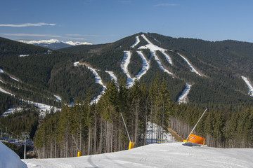 ski slope in spruce forest