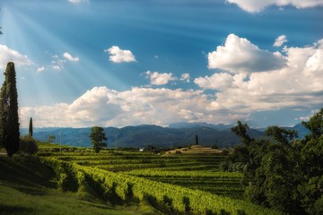 Colline di  Rocca Bernarda (Italy)