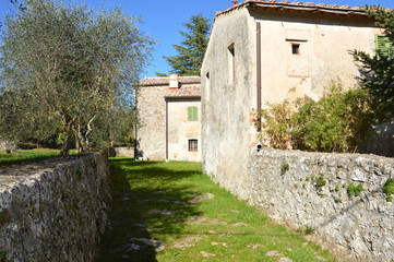 Via Francigena nelle colline senesi