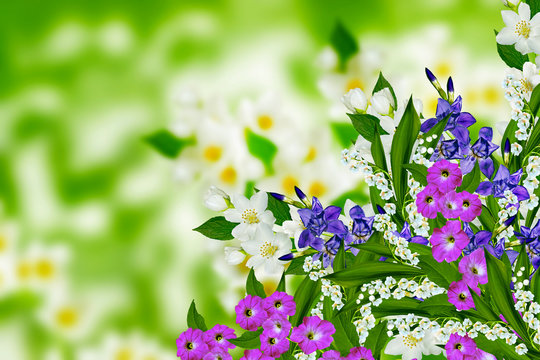 jasmine flowers, iris and lily of the valley